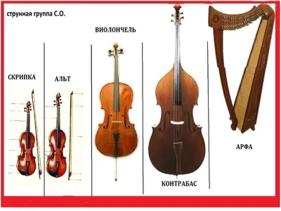 Организация музыкальных инструментов симфонического оркестра, трехмерного  рендеринга Иллюстрация штока - иллюстрации насчитывающей симфонизм,  проводник: 165534798