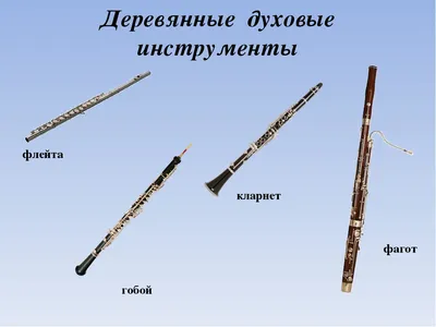 Рисунок инструмента симфонического оркестра - 61 фото