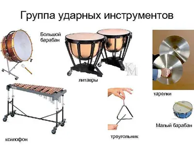 Медные духовые инструменты — Детский музыкальный лекторий «Пикколо»