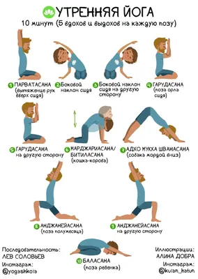 Основные асаны в йоге для начинающих