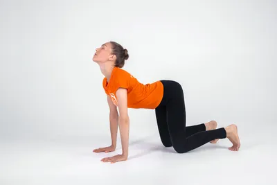 Здоровая спина за 30 минут - йога для начинающих - YouTube