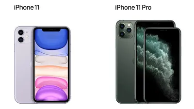 iPhone 12 vs iPhone 11 camera comparison: newer equals better? |  91mobiles.com