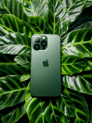 iPhone 13 Pro Review: Long Battery Life, Stellar Camera