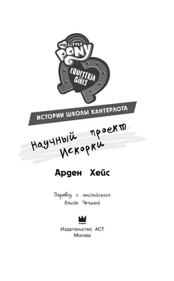 Декоративная ветка ШИШКИ-ИСКОРКИ серебряные, 50 см, Hogewoning - купить в  Москве, цены на Мегамаркет