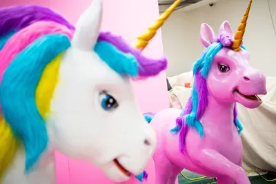 Unicorn World created by Knoxville, Tennessee couple