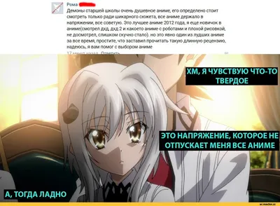 Иллюстрации к \"High School Dxd Демоны старшей школы том 9\"