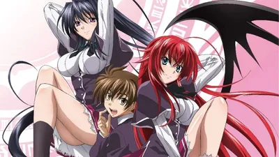 Pin by Mary Oliver on livros | Anime high school, Dxd, Anime girl