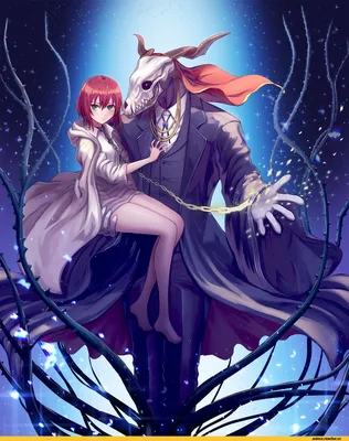 Манга Невеста чародея / Mahou Tsukai no Yome: Hoshi Matsu Hito. Том 10 -  купить недорого