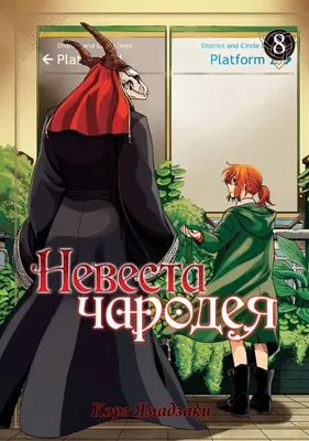 Кружка Невеста чародея ANIME-BOX 172684719 купить за 240 ₽ в  интернет-магазине Wildberries