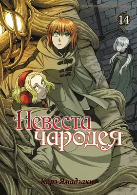 Аниме «Невеста чародея» / Mahō Tsukai no Yome / The Ancient Magus' Bride  (2017) — трейлеры, дата выхода | КГ-Портал