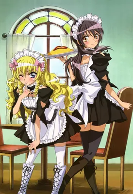 Фото Misaki Ayuzawa и переодетый Aoi Hyoudou, аниме Kaichou wa Maid-sama / Президент  студ-совета горничная, art by Hiro Fujiwara