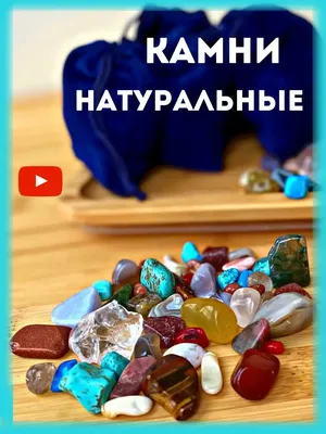 Не знаете, чем занять детей на даче? Сделайте с ними \"кактусы\" из камней.  Оригинальные поделки украсят сад | Lifestyle | Селдон Новости