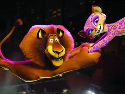 Мультфильм. DreamWorks. Мадагаскар 3 в 3D+2D (2012, 2 Blu-ray диска)  комедия, приключения для всей семьи / 6+ - купить с доставкой по выгодным  ценам в интернет-магазине OZON (157457542)