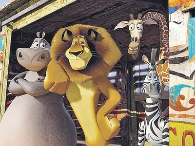 Мадагаскар-3»: Зоопарк в цирке - спутник телезрителя - Кино-Театр.Ру