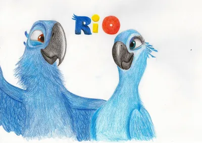 Игрушки плюшевые в виде попугая из мультфильма «Rio 2», 30 см | AliExpress