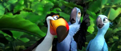 Blu YouTube Анимационный фильм Мультик Рио, ютуб, курица, фауна png | PNGEgg