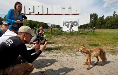 Где снимали сериал \"Чернобыль\": реальные и виртуальные локации Украины -  BBC News Україна