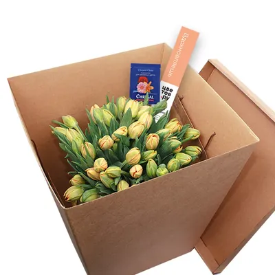 Доставка цветов в Янауле, заказать и купить круглосуточно букет недорого в « Цветов.ру» с бесплатной доставкой