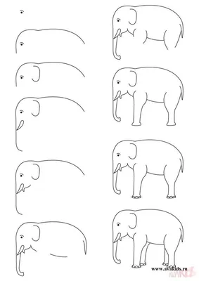 Слон и моська басня картинки