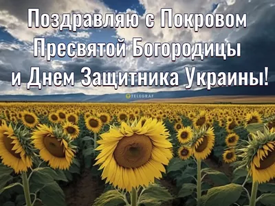 С Днем защитника Украины 2021 - красивые открытки на 14 октября - Телеграф
