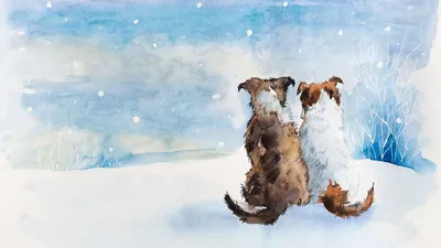 Хаски-новый год | Рождественская собака, Хаски, Собаки