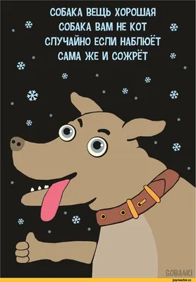Новый год собаки 2018: как угодить тотемному животному и в чем встречать  праздник? — bko.by — сайт о собаках и для собак
