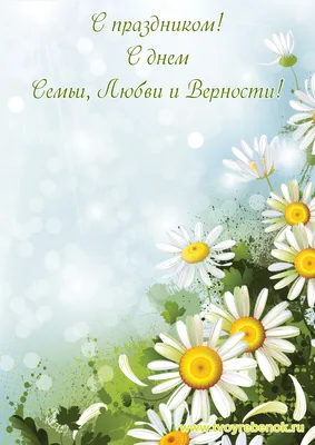 7 июля – День семьи, любви и верности – Новости – Окружное управление  социального развития (Ленинского городского округа)