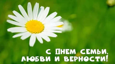 Сегодня, 8 июля, вся страна отмечает замечательный праздник – День семьи,  любви и верности. — БУ РК \"Национальный архив\"