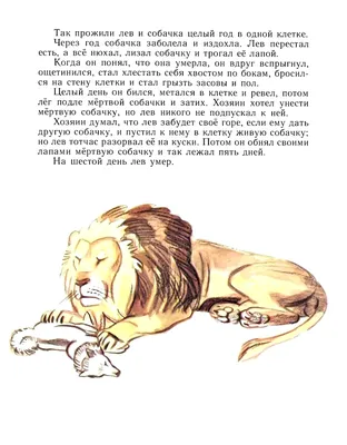 Рисунок к произведению лев и собачка - 78 фото