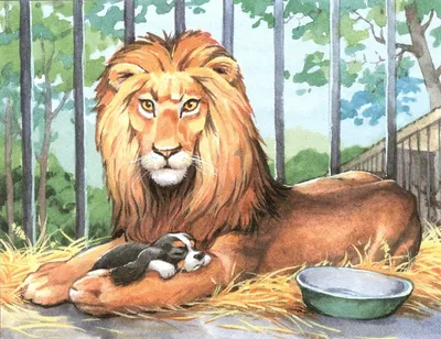 Рисунок к произведению лев и собачка - 72 фото