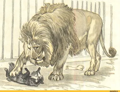 Лев и собачка рисунок - 47 фото