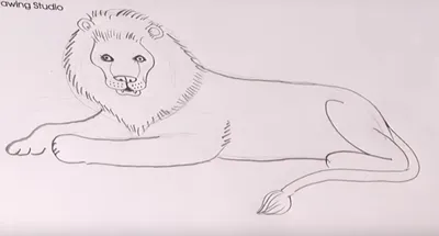 Рисунок на тему лев и собачка - 71 фото