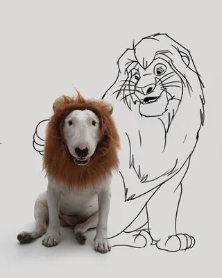 Лев и собачка (Быль) 📖 Л.Н. Толстой ✒ Рассказ 🎧 Аудиокнига - YouTube