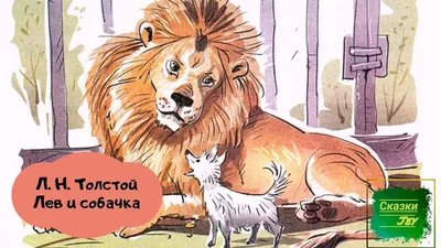 Картинки раскраски лев и собачка (45 фото) » Юмор, позитив и много смешных  картинок