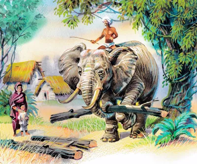 Литературный конфликт в «Съемке слона» Storyboard