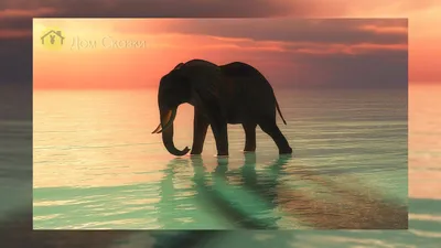 Люси слон в Margate Нью-Джерси Редакционное Стоковое Изображение -  изображение насчитывающей достопримечательностью, уникально: 74255834