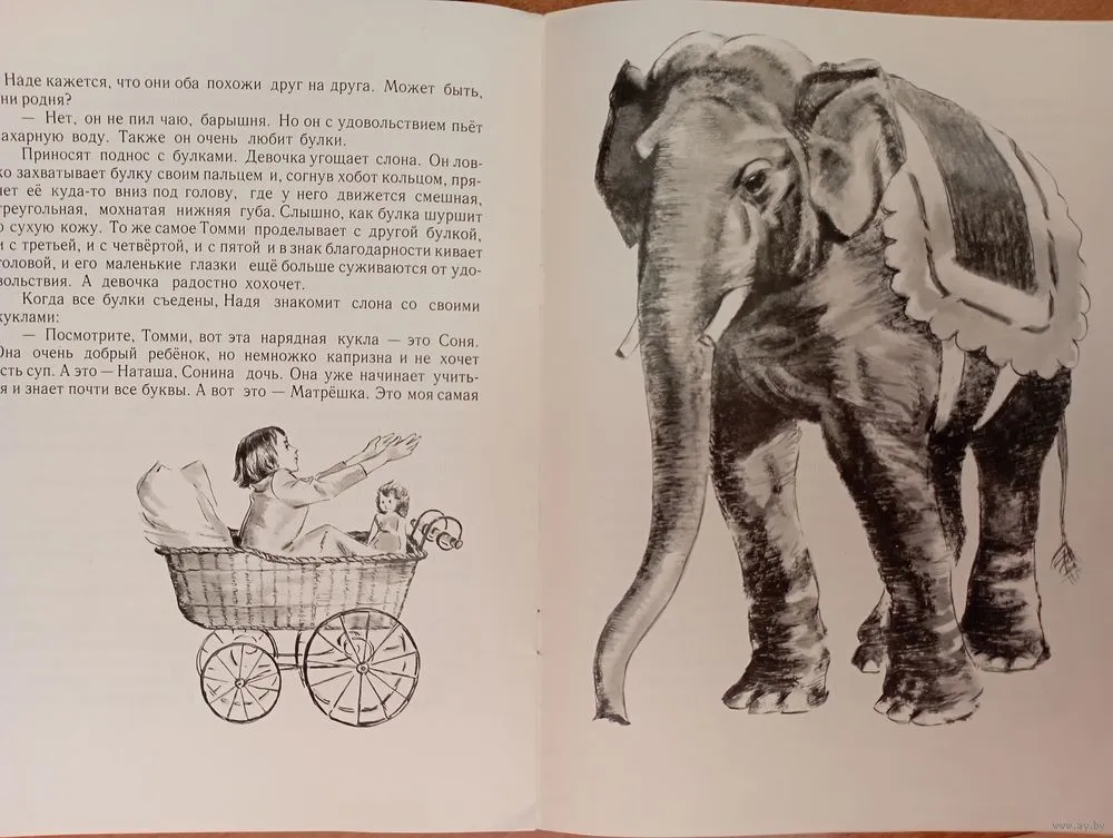 В рассказе слон какие герои. Иллюстрация к рассказу слон Куприна. Девочка слониха книга. Слон Куприн план 6 частей.