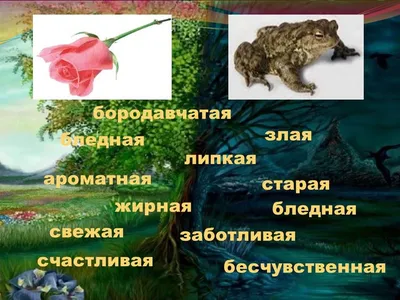 О жабе и розе — краткое содержание произведения Всеволод Гаршин