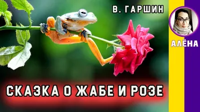 О жабе и розе: сказка гаршина в. м. читать онлайн