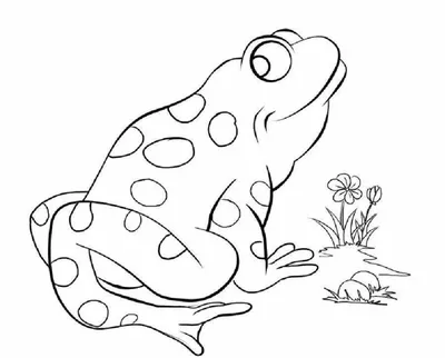 Какие есть эпитеты в сказке Гаршина \" Сказка о розе и жабе \"?» — Яндекс Кью