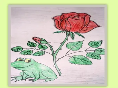 Раскраски Жаба и роза (37 шт.) - скачать или распечатать бесплатно #11408