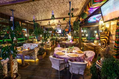 Зеленые кафе Петербурга: 9 мест с оранжереей, пальмами и растениями