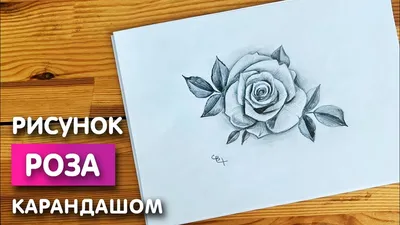 Роза, простой карандаш | Рисунки, Розы, Графика