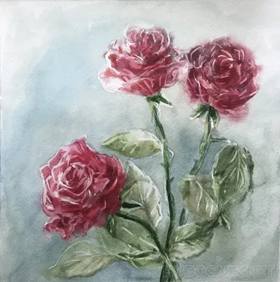 Yavdoshina_ART - Розы, нарисованные простым карандашом.... | Facebook