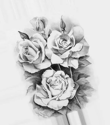 Рисунок графическим карандашом, роза» — создано в Шедевруме