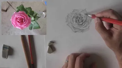 Сегодня мы научим вас поэтапно рисовать розу карандашом! Не забудьте  сохранить этот пост, чтобы не потерять!😍🙌🏻 ⠀ 1️⃣Слегка нажимая на  карандаш, рисуем основу бутона розы, стебель и S-образную линию лепестка. ⠀  2️⃣Рисуем