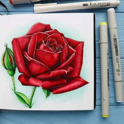 Рисунки розы легкие - 80 фото