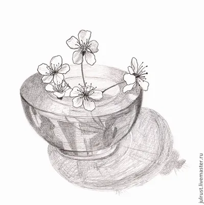 Картина Майский пустячок, рисунок карандашом серый белый цветы вишни –  заказать на Ярмарке Мастеров – 3VV1TBY | Картины, Москва