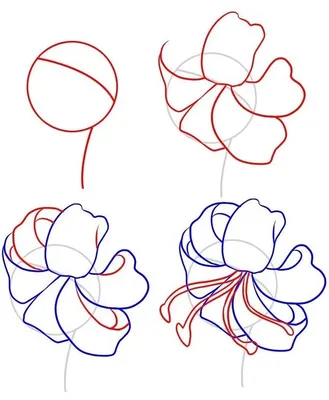 Прикрепленная тема цветы карандашом. Как нарисовать красивый цветок  карандашом поэтапно | Рисунки, Нарисовать цветы, Цветочные иллюстрации