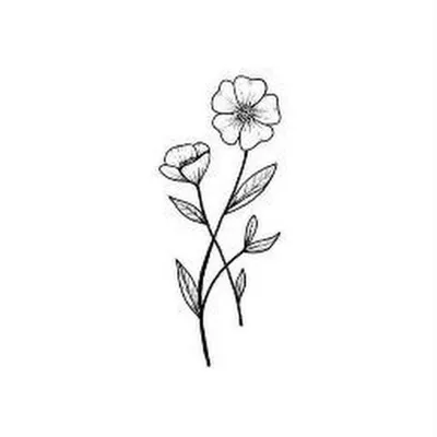 Рисунок цветов в ручке и чернилами и покрашенном карандашом Иллюстрация  штока - иллюстрации насчитывающей иллюстрация, листья: 211190948